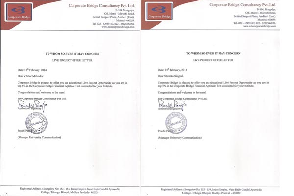 Corporate-Bridge-Consulting