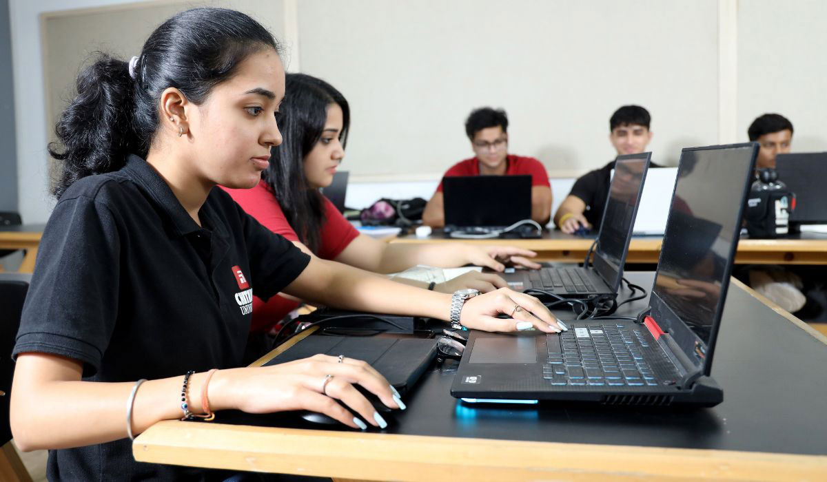 BBA vs BBA Honours - Chitkara University