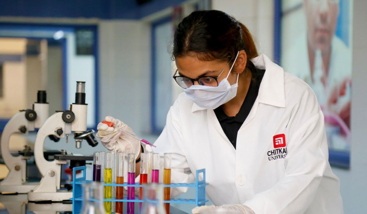 A Bachelor of Pharmacy