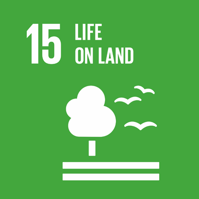 SDG2 icon