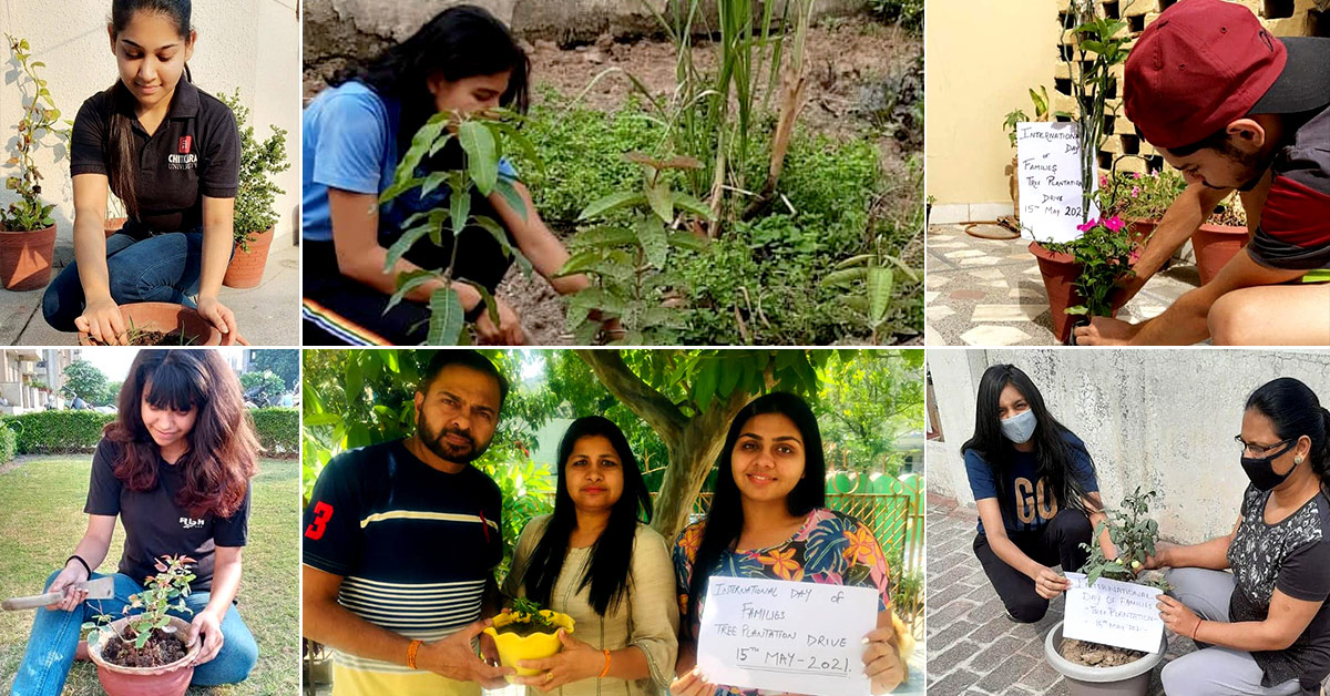 Family Day Chitkara University