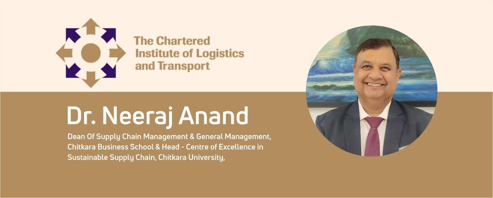 Dr. Neeraj Anand - Chitkara University