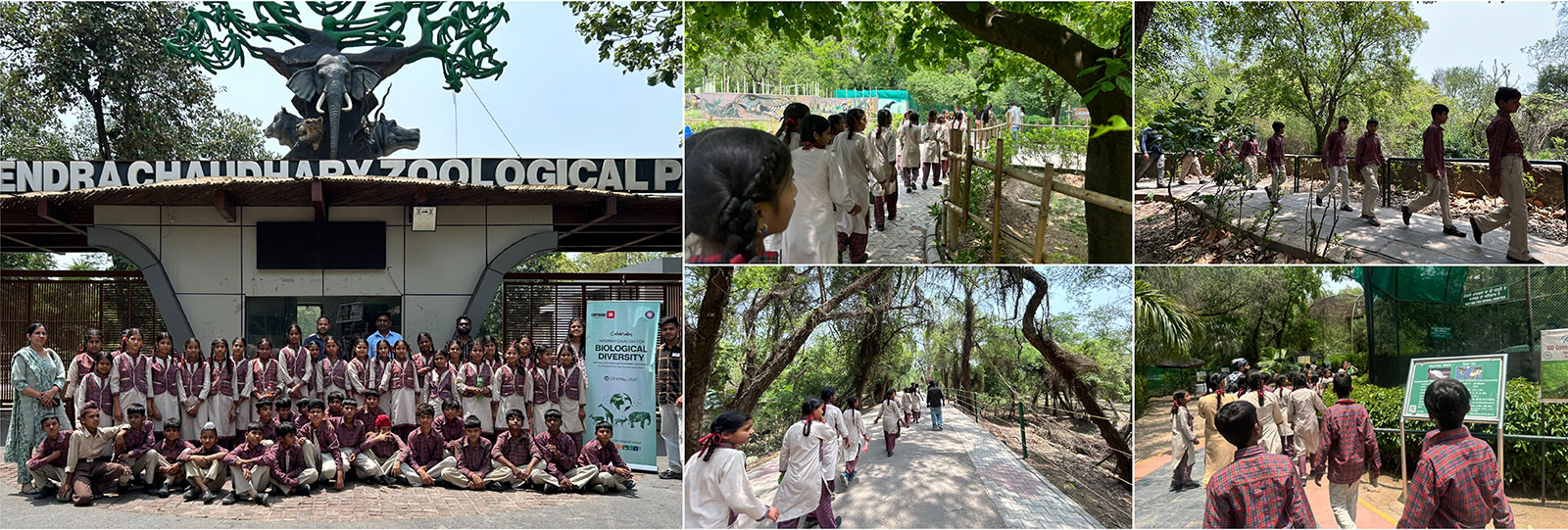 Nss Promotes Ecological Awareness Through Educational Outreach On International Day For Biological Diversity 1 Biological Diversity banner Chitkara University